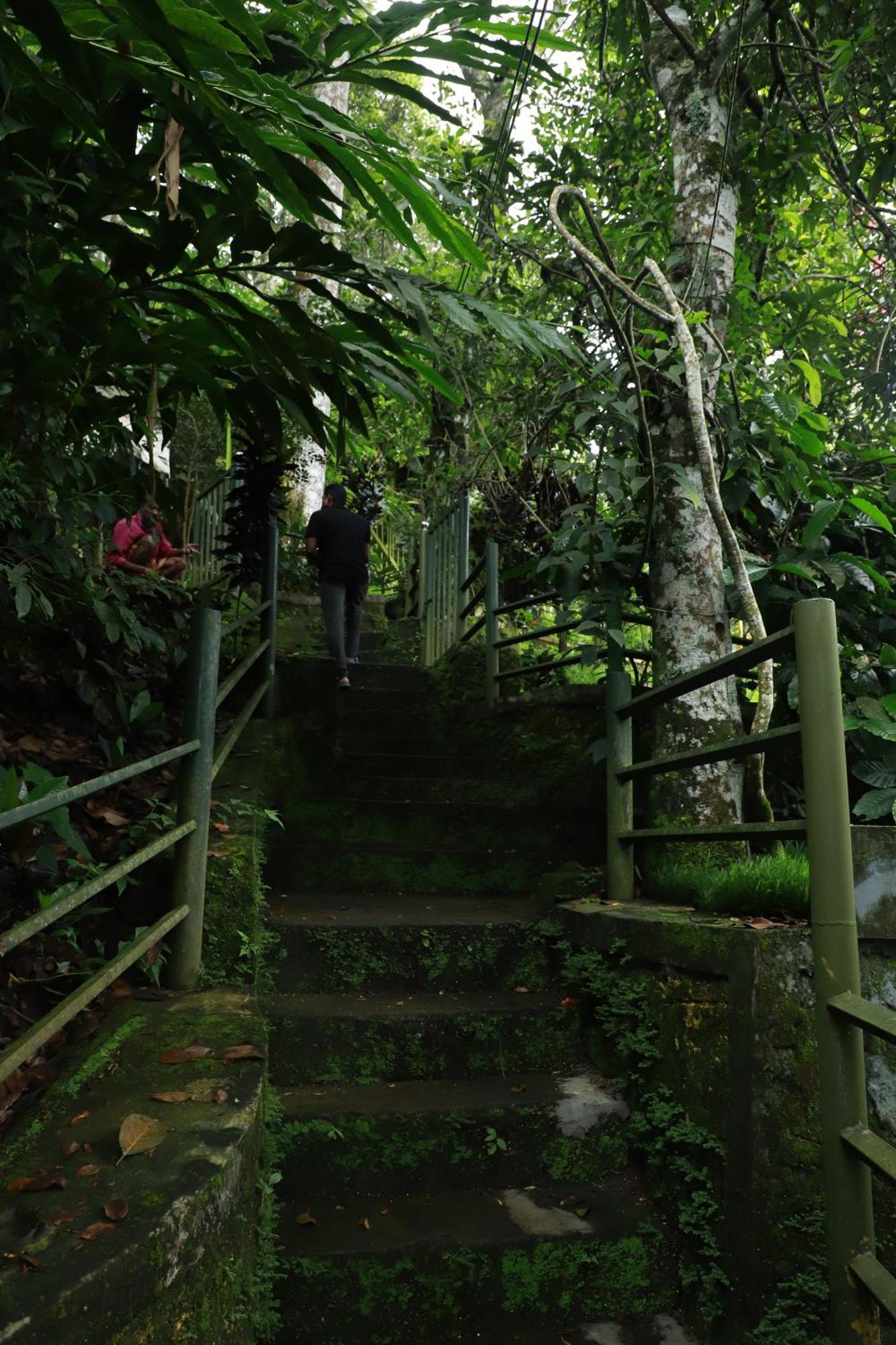 Nature Villa Anachal Eksteriør billede